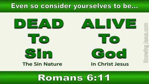 Romans 6:11 Dead To Sin Alive To God (green)